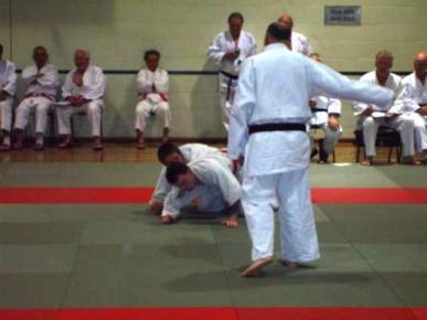 Cromer 2007